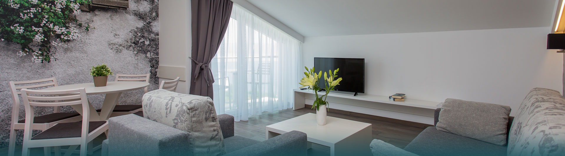 Usluge foto galerija 1 - ringo-apartments.com